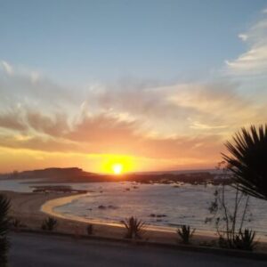 Photo du profil de Fatima Zahra